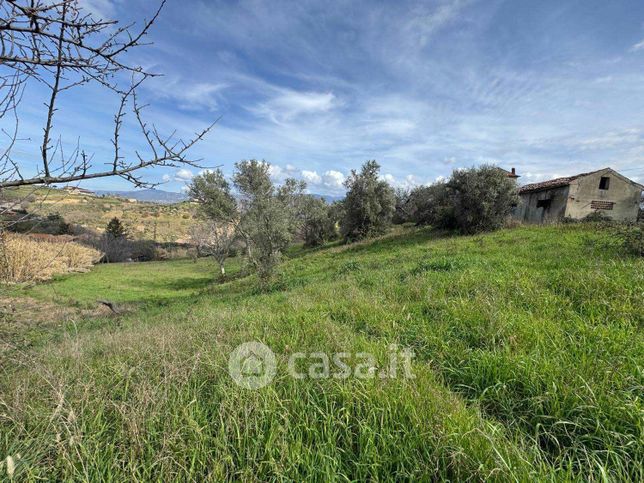 Terreno agricolo in commerciale in Contrada Pantano di Diodato