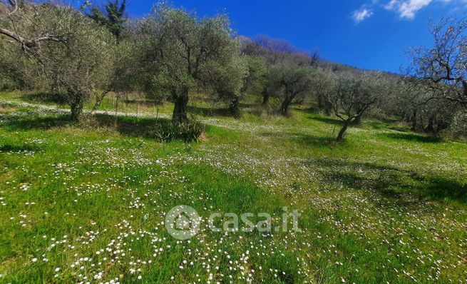 Terreno agricolo in commerciale in Frazione Rigali