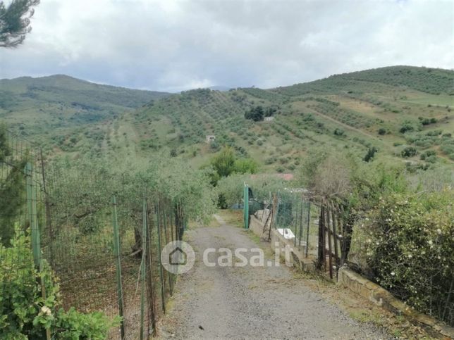 Terreno agricolo in commerciale in ss113
