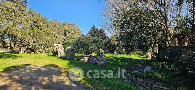 Terreno agricolo in commerciale in enas