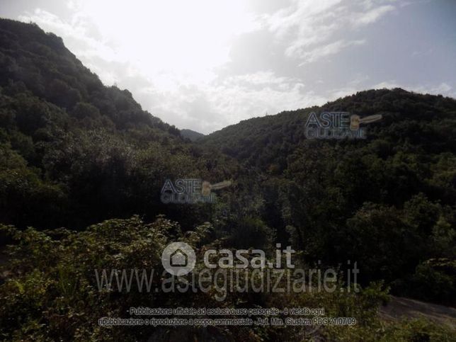 Terreno agricolo in commerciale in 