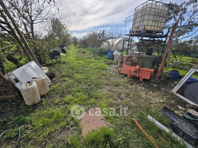 Terreno agricolo in commerciale in Via N. Casarosa