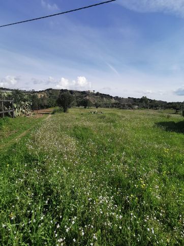 Terreno agricolo in commerciale in Via Palmiro Togliatti