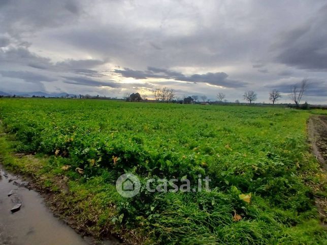 Terreno agricolo in commerciale in 