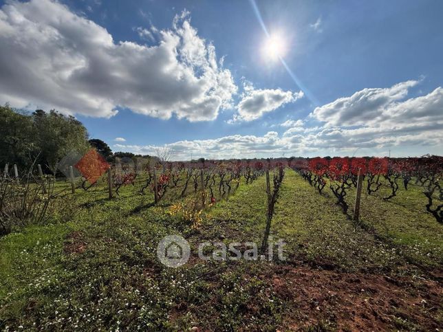 Terreno agricolo in commerciale in Strada Senza Nome