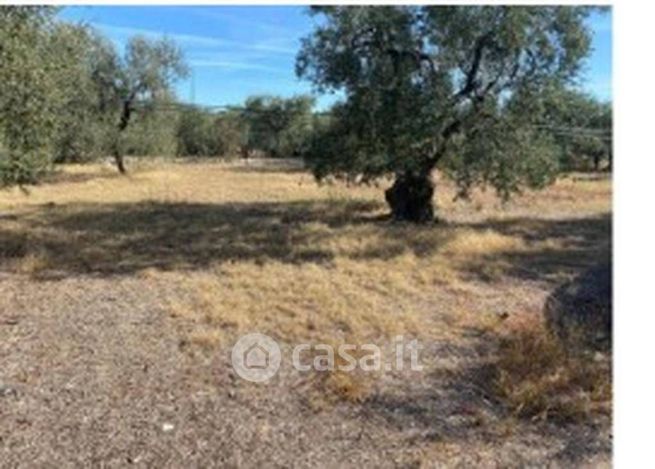Terreno agricolo in commerciale in Strada Provinciale 56