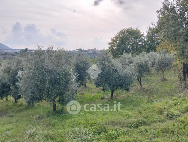 Terreno agricolo in commerciale in 