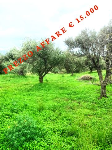 Terreno agricolo in commerciale in Contrada MORTILLA