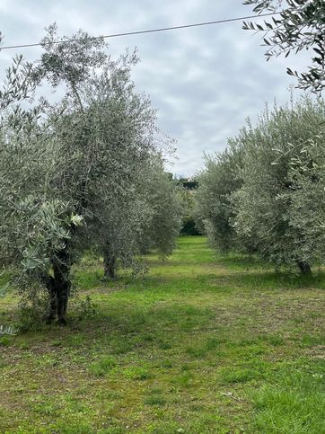 Terreno agricolo in commerciale in Via Enrico Mattei