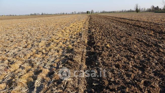 Terreno agricolo in commerciale in Via del Maglio