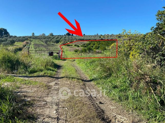 Terreno agricolo in commerciale in Strada Provinciale 14