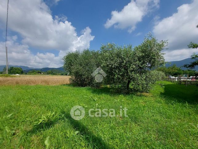 Terreno agricolo in commerciale in Strada Bertari