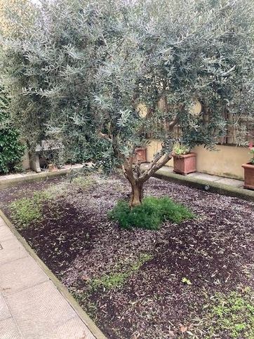 Appartamento in residenziale in Via della Cernaia