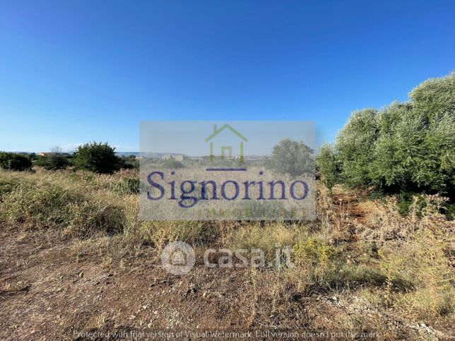 Terreno agricolo in commerciale in Traversa Orecchie di Lepre 2