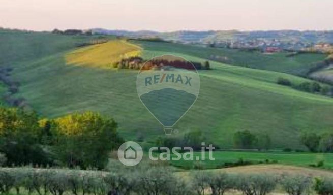 Terreno agricolo in commerciale in Seconda Traversa Pozzo Alberto 4