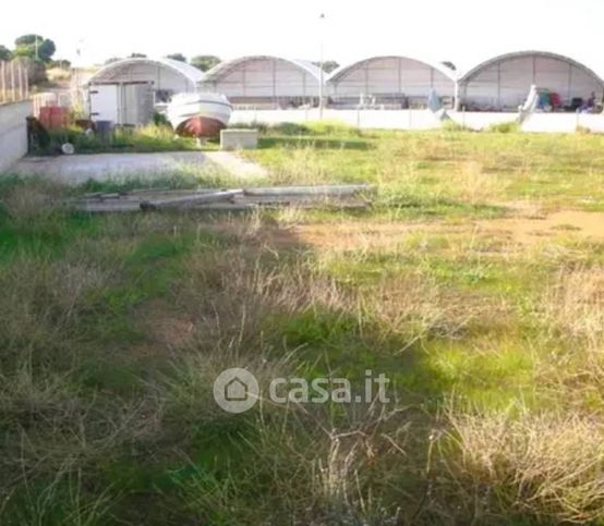 Terreno agricolo in commerciale in Contrada Cutusio