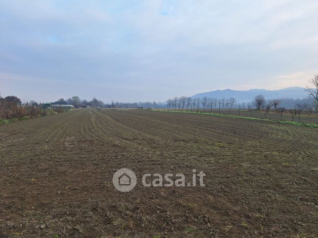 Terreno agricolo in commerciale in Frazione Mezzi Po