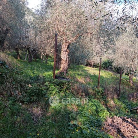 Terreno agricolo in commerciale in 