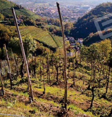 Terreno agricolo in commerciale in Borgata Grotta