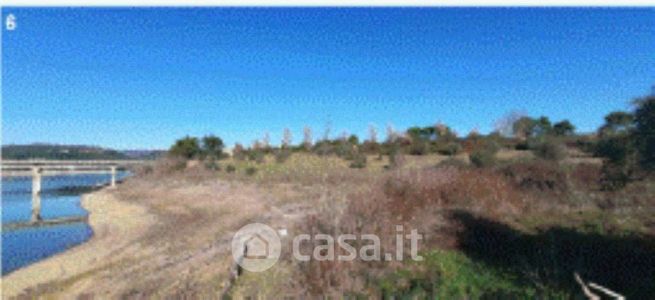 Terreno agricolo in commerciale in Strada Statle 205