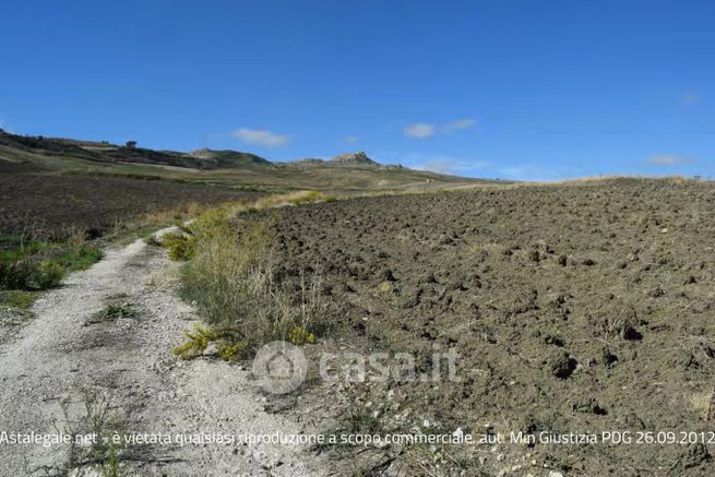 Terreno agricolo in commerciale in Contrada Costantino