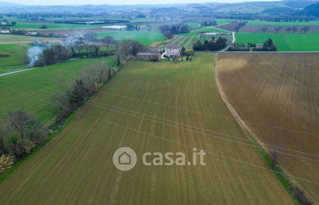 Terreno agricolo in commerciale in Via di Jesi 212