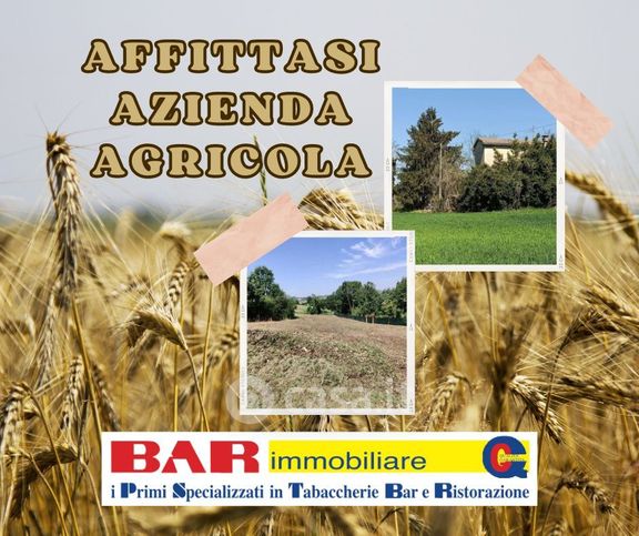 Terreno agricolo in commerciale in 