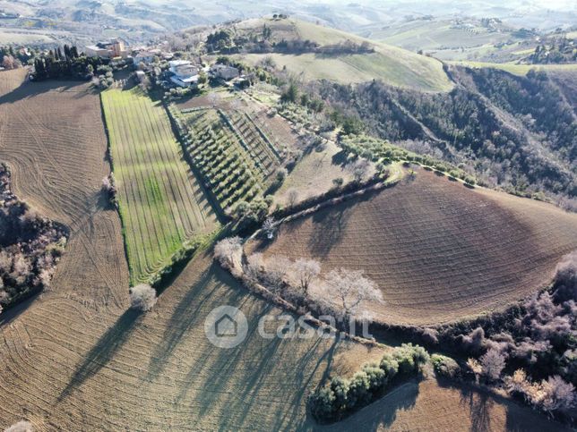 Terreno agricolo in commerciale in Contrada San Savino