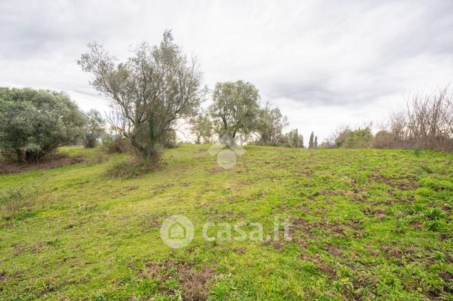 Terreno agricolo in commerciale in Via Sacrofano-Prima Porta