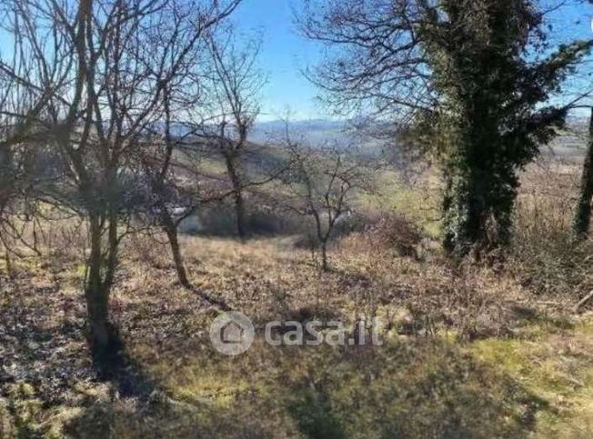Terreno agricolo in commerciale in Via Prielli
