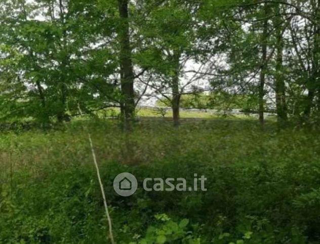 Terreno agricolo in commerciale in Strada Terraglio