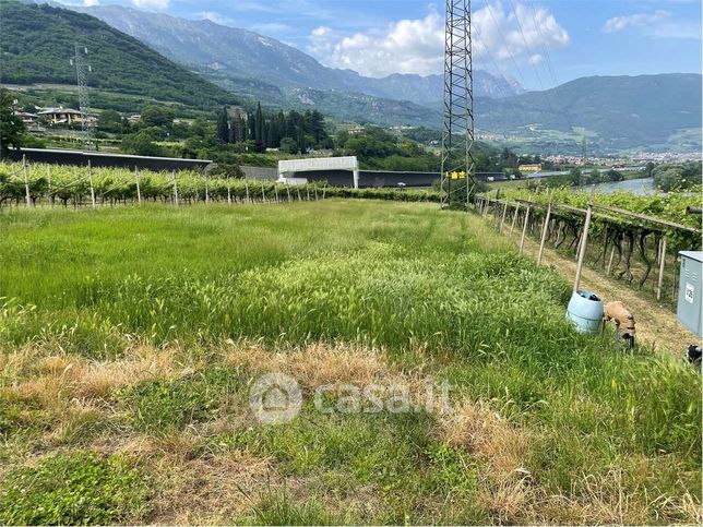 Terreno agricolo in commerciale in Via Cornalè