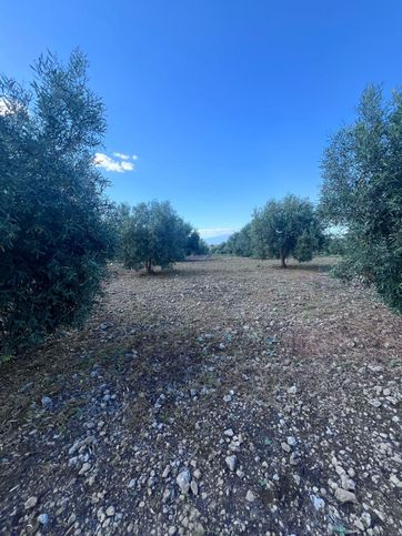 Terreno agricolo in commerciale in Contrada sabuci