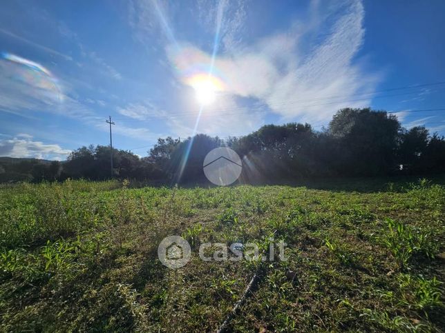 Terreno agricolo in commerciale in Via delle More