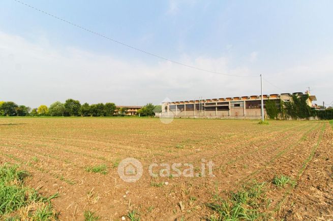 Terreno agricolo in commerciale in Via Badia