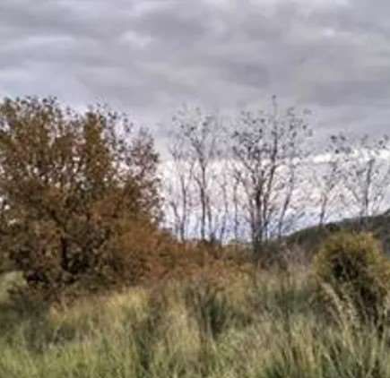 Terreno agricolo in commerciale in Regione Massari