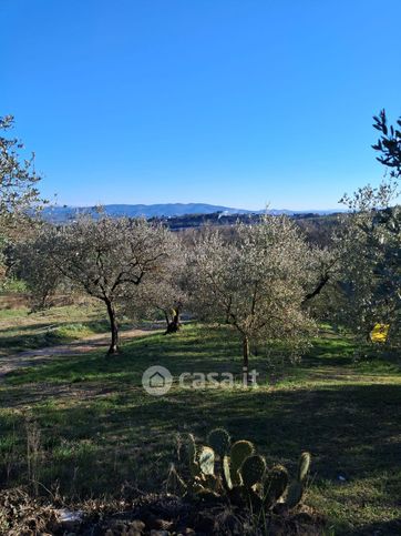 Terreno agricolo in commerciale in Strada Vicinale San Michele Arcangelo