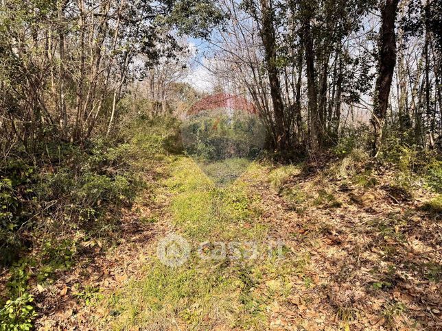 Terreno agricolo in commerciale in Via Cassone