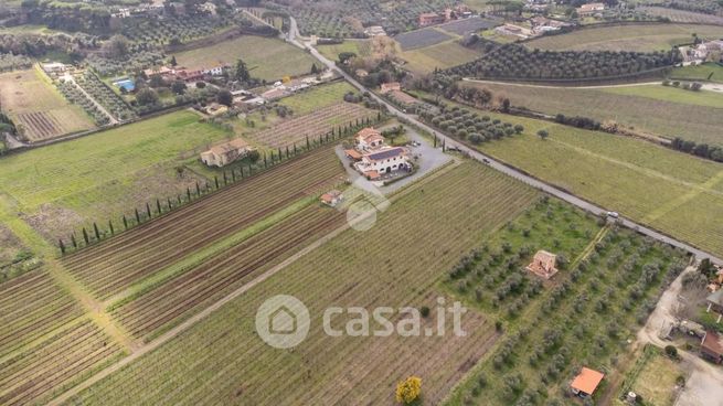Terreno agricolo in commerciale in Via di Pietra Porzia 50