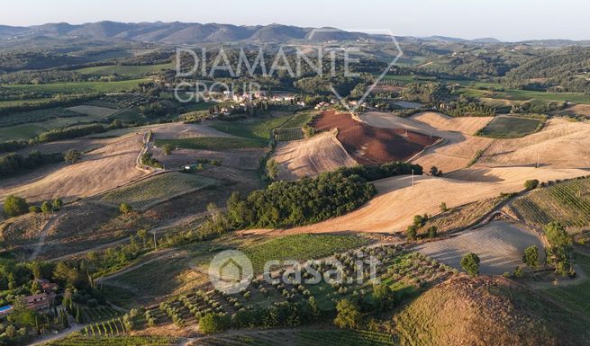 Terreno agricolo in commerciale in castelnuovo Berardenga