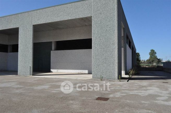 Capannone in commerciale in Strada Colle d'Alba di Levante 1