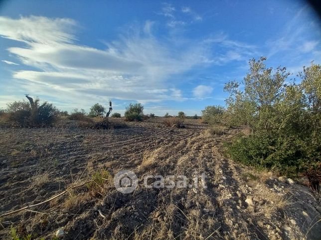 Terreno agricolo in commerciale in 