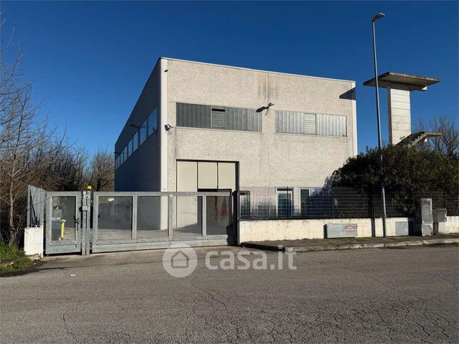 Capannone in commerciale in Via Circolare 16