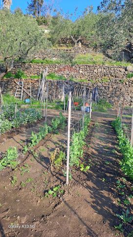 Terreno agricolo in commerciale in 