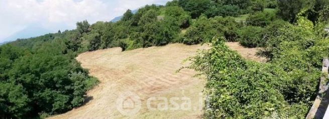 Terreno agricolo in commerciale in Via Poletti