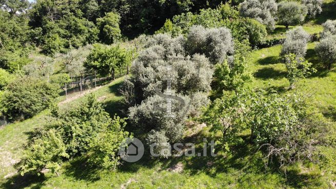 Terreno agricolo in commerciale in Via Salarola
