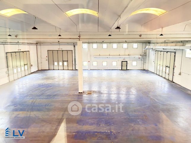 Capannone in commerciale in 