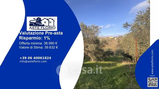 Terreno agricolo in commerciale in Viale Piane San Donato