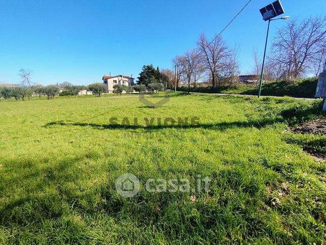 Terreno edificabile in residenziale in Contrada Piano Cappelle