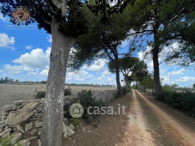 Terreno agricolo in commerciale in Strada Provinciale 178